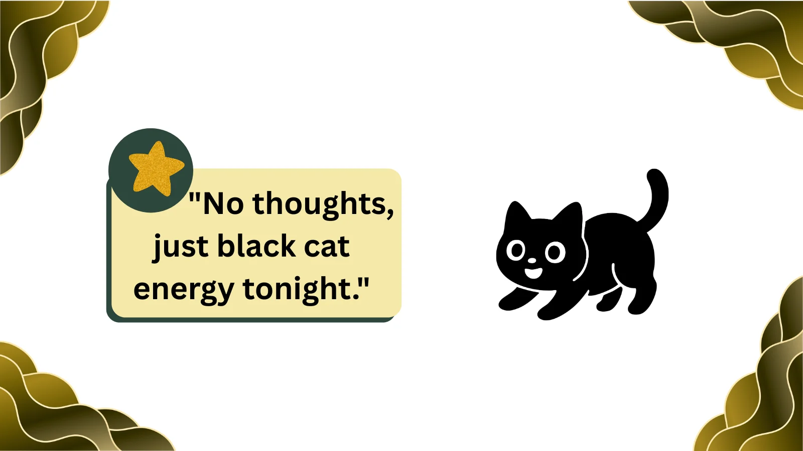 what does black cat energy mean