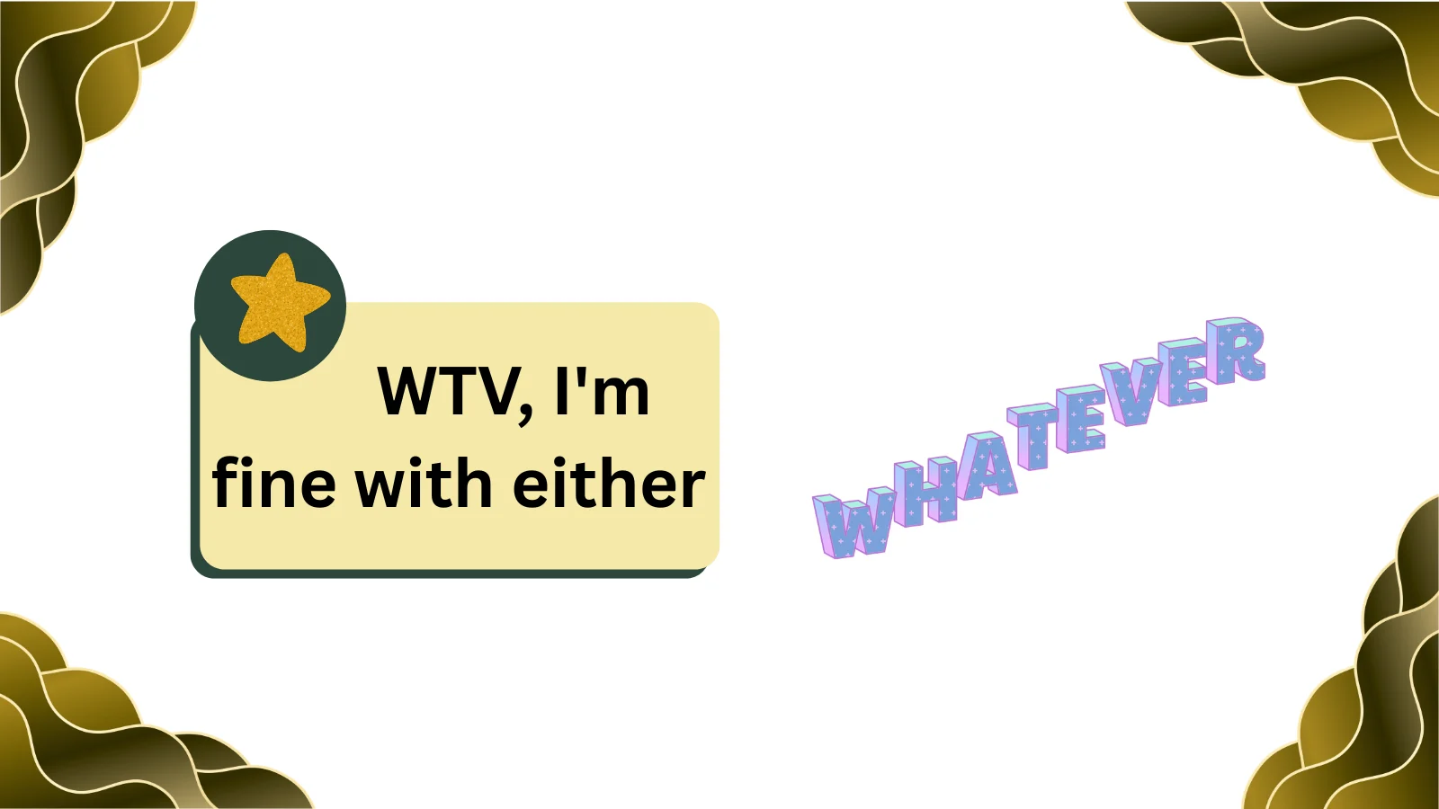 wtv meaning in text