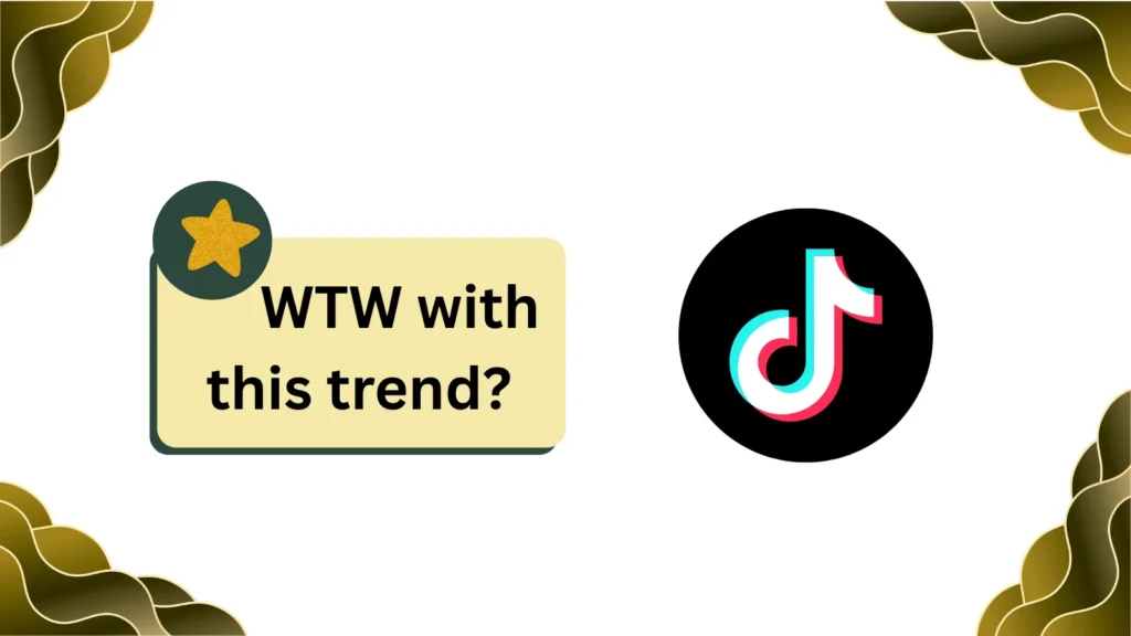 WTW Meaning on TikTok 🎵
